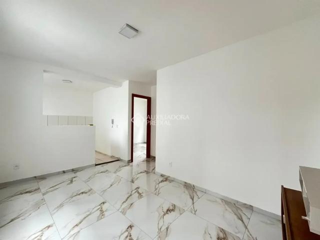 Apartamento venda em Vila Nova, Joinville