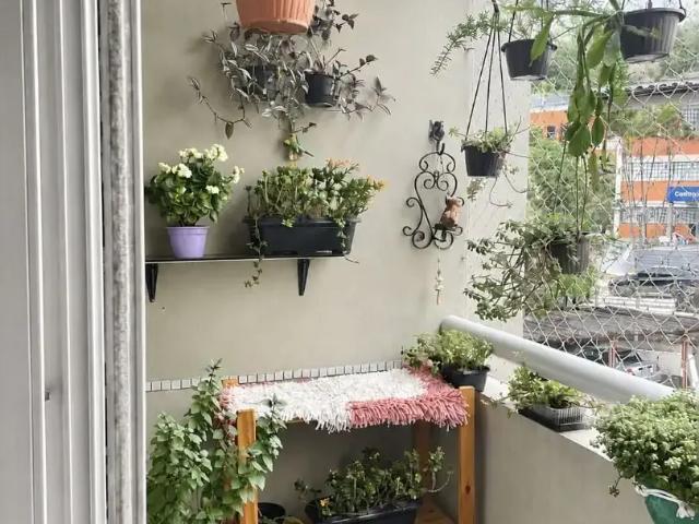 Apartamento venda em Jardim Ana Maria, Jundiaí