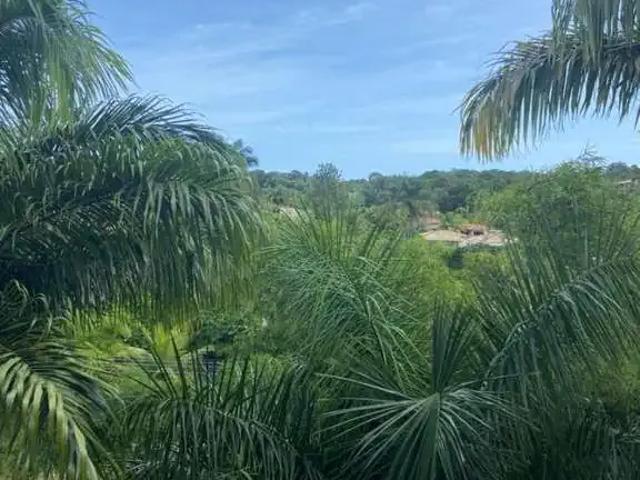 Apartamento venda em Região Geográfica Imediata de Salvador, Região Metropolitana de Salvador