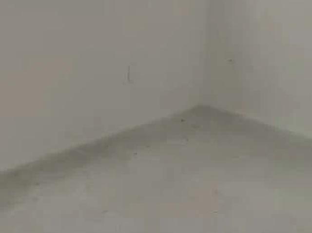 Apartamento venda em Salvador