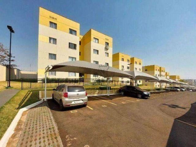 Apartamento venda em Região Geográfica Imediata de Londrina, Londrina