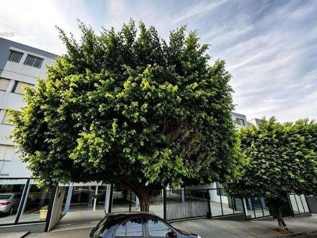 Apartamento venda em Região Geográfica Imediata de Londrina, Londrina