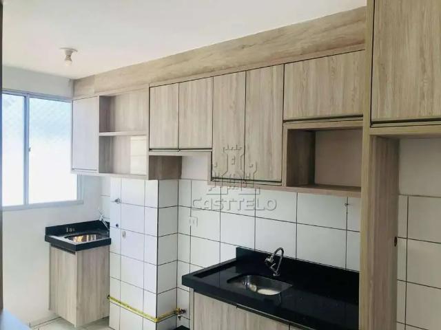 Apartamento venda em Jamaica, Londrina