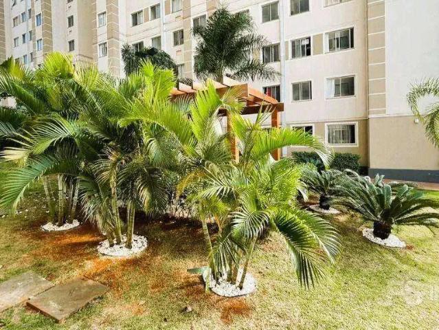 Apartamento venda em Região Geográfica Imediata de Londrina, Londrina
