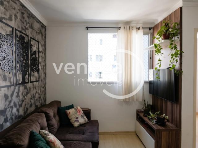 Apartamento venda em Jamaica, Londrina