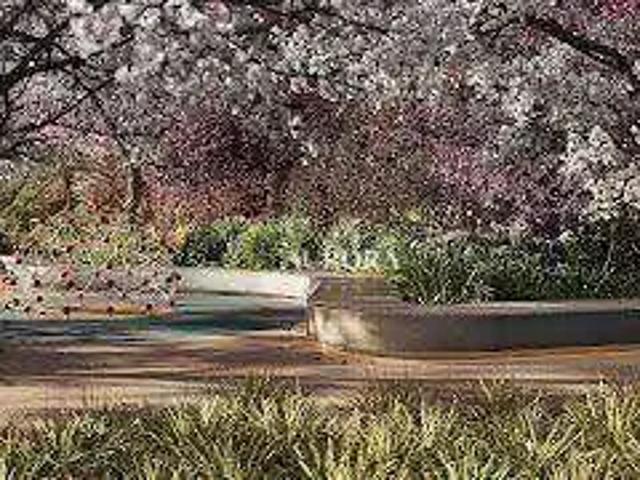 Apartamento venda em Região Geográfica Imediata de Londrina, Londrina