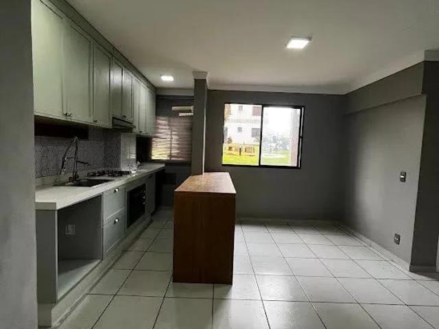 Apartamento venda em Jardim Padovani, Londrina