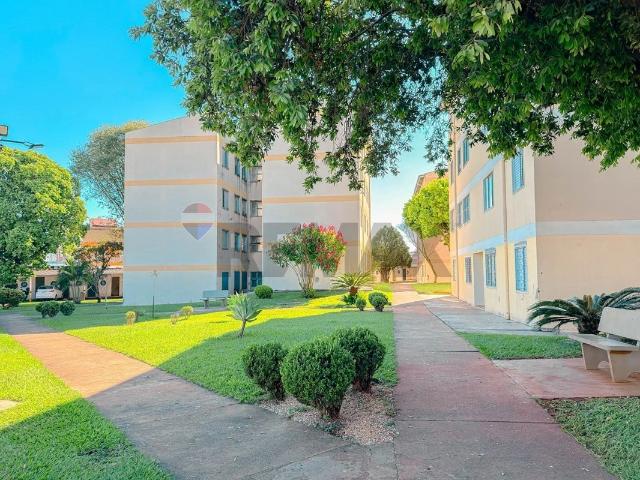 Apartamento venda em Região Geográfica Imediata de Londrina, Londrina