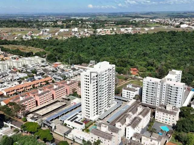 Apartamento venda em Jamaica, Londrina