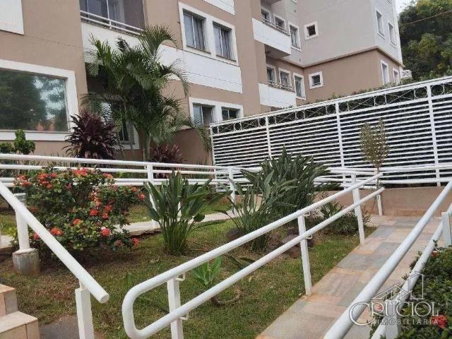Apartamento venda em Região Geográfica Imediata de Londrina, Londrina