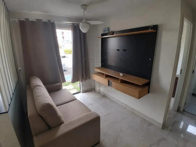 Apartamento venda em Jardim Antares, Londrina
