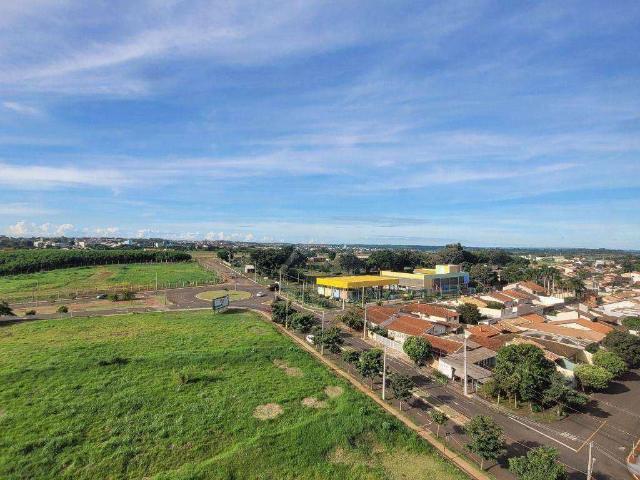 Apartamento venda em Jardim Califórnia, Londrina
