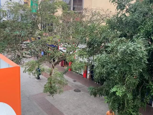 Apartamento venda em Região Geográfica Imediata de Macaé-Rio das Ostras, Macaé