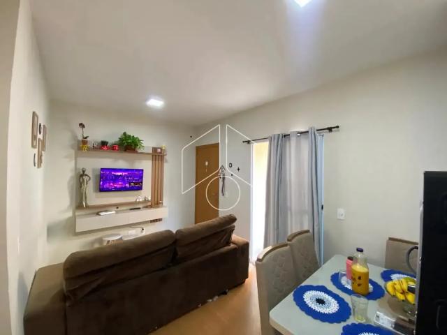 Apartamento venda em Região Imediata de Marília, Marília