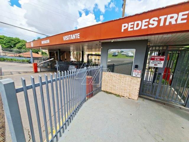 Apartamento venda em Região Imediata de Marília, Marília