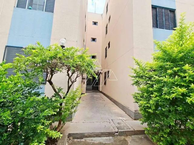 Apartamento venda em Região Imediata de Marília, Marília