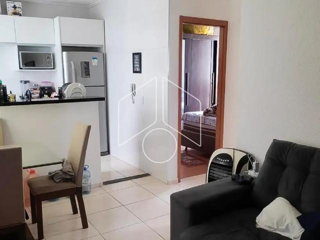 Apartamento venda em Região Imediata de Marília, Marília