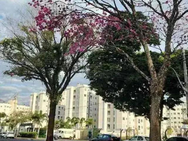Apartamento venda em Região Geográfica Imediata de Maringá, Maringá