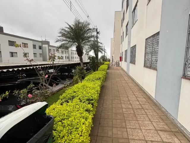 Apartamento venda em Região Geográfica Imediata de Maringá, Maringá