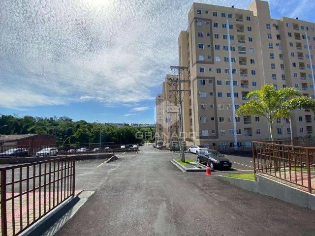 Apartamento venda em Região Geográfica Imediata de Maringá, Maringá