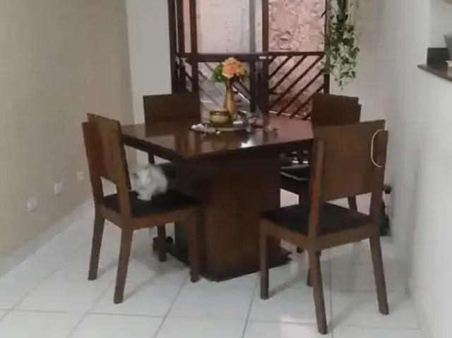 Apartamento venda em Jardim Ivete, Mogi das Cruzes