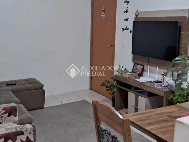 Apartamento venda em Novo Hamburgo