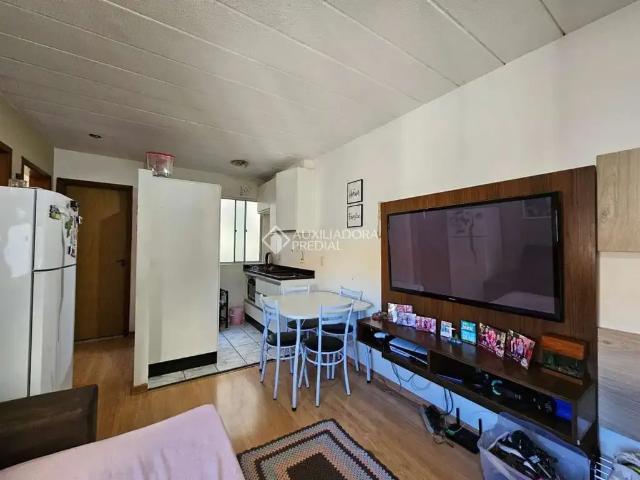 Apartamento venda em Região Geográfica Imediata de Novo Hamburgo - São Leopoldo, Região Metropolitana de Porto Alegre