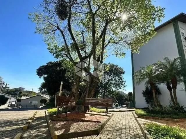 Apartamento venda em Novo Hamburgo