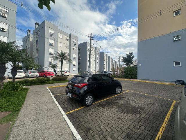 Apartamento venda em Novo Hamburgo
