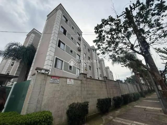 Apartamento venda em Novo Hamburgo