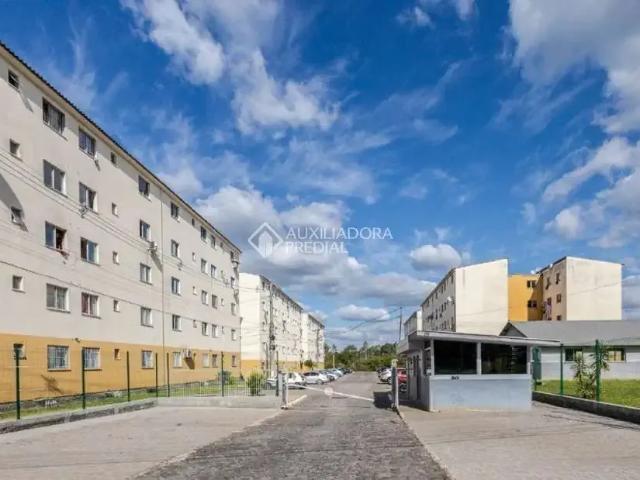 Apartamento venda em Novo Hamburgo