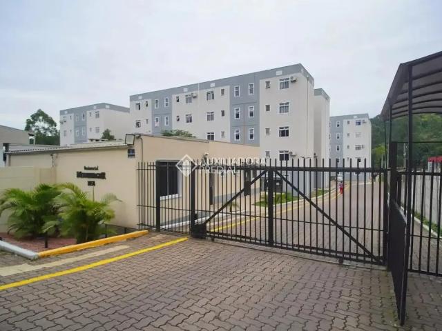 Apartamento venda em Vila Kephas Norte, Novo Hamburgo