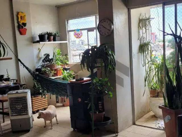 Apartamento venda em Região Geográfica Imediata do Recife, Região Metropolitana do Recife