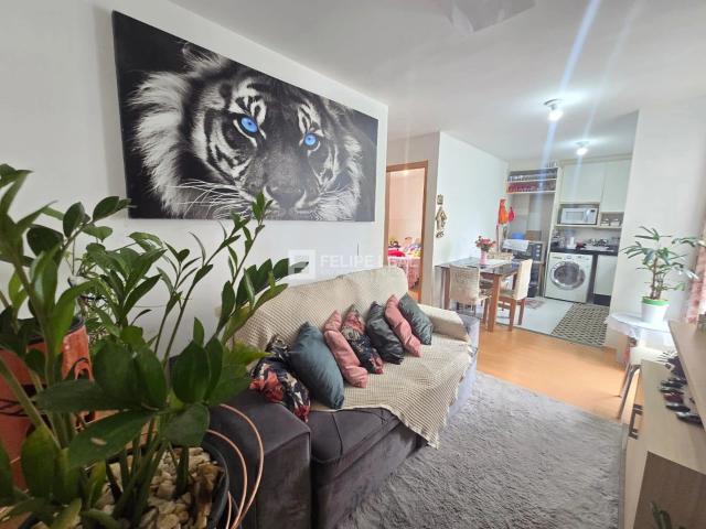 Apartamento venda em Região Geográfica Imediata de Florianópolis, Palhoça