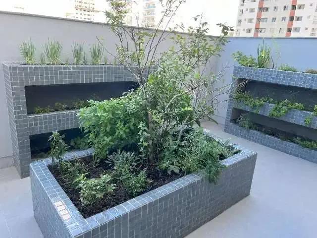 Apartamento venda em Loteamento Marivone, Palhoça