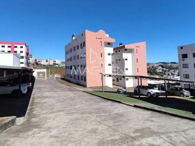 Apartamento venda em Região Geográfica Imediata de Pato Branco, Região Sul