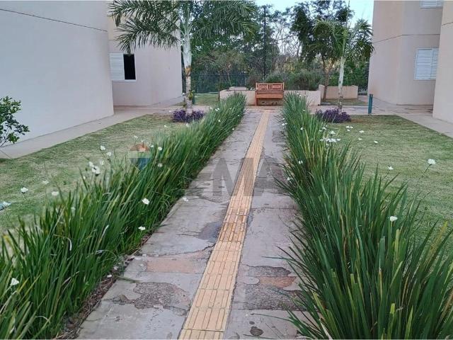 Apartamento venda em Condomínio Residencial Brisa da Mata Manacás, Paulínia