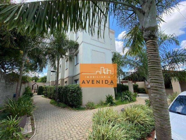 Apartamento venda em Santa Cecília, Paulinia