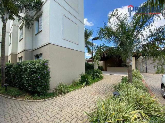 Apartamento venda em Vila José Paulino Nogueira, Paulinia