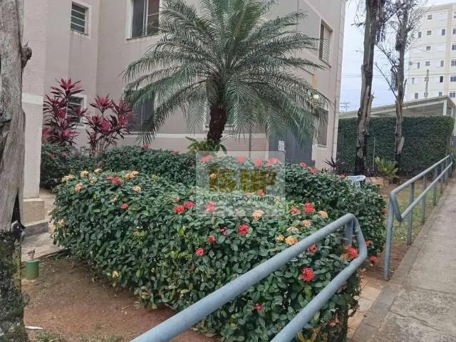 Apartamento venda em Vila Monte Alegre, Paulinia