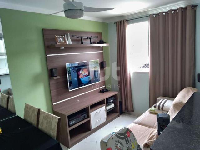 Apartamento venda em Vila Monte Alegre, Paulinia