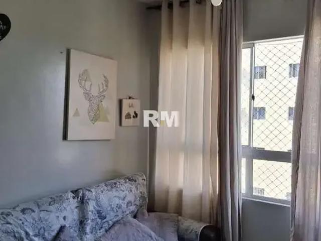 Apartamento venda em Região Geográfica Imediata do Recife, Região Metropolitana do Recife
