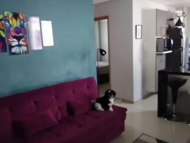 Apartamento venda em Região Imediata de Piracicaba, Região Metropolitana de Piracicaba