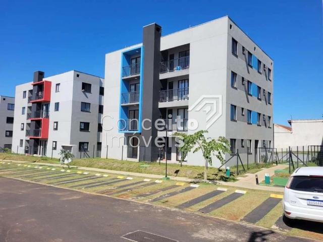 Apartamento venda em Ponta Grossa, Região Geográfica Intermediária de Ponta Grossa