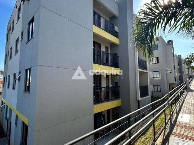Apartamento venda em Colônia Dona Luiza, Ponta Grossa