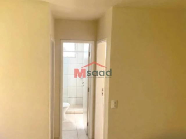Apartamento venda em Vila Estrela, Ponta Grossa