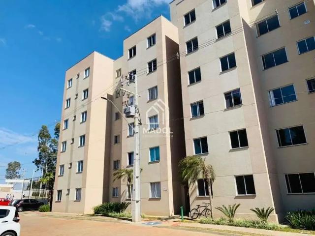 Apartamento venda em Região Geográfica Imediata de Ponta Grossa, Ponta Grossa