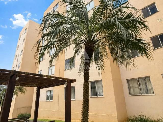 Apartamento venda em Uvaranas, Ponta Grossa