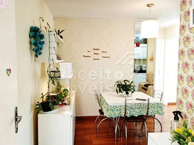 Apartamento venda em Ponta Grossa, Região Geográfica Intermediária de Ponta Grossa