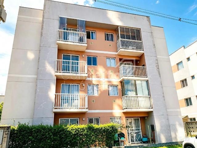Apartamento venda em Ponta Grossa, Região Geográfica Intermediária de Ponta Grossa